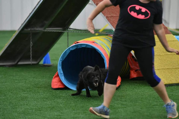 [AU-091] Blazing Blinds Boot Camp: 2026 Edition!